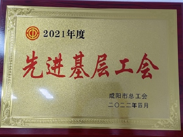 2021年度先進(jìn)基層工會